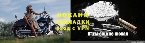 кокс Гусев