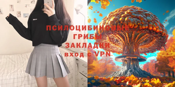не бодяженный Горнозаводск