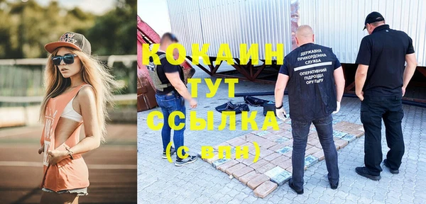кокс Гусев