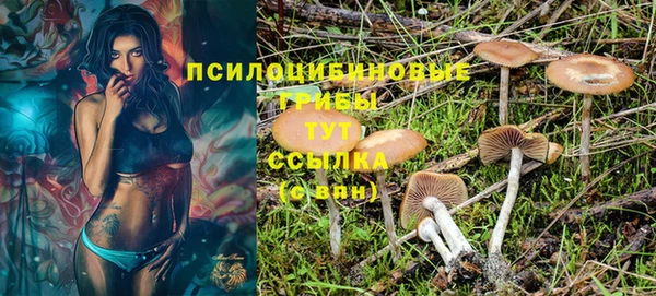 mix Вязьма