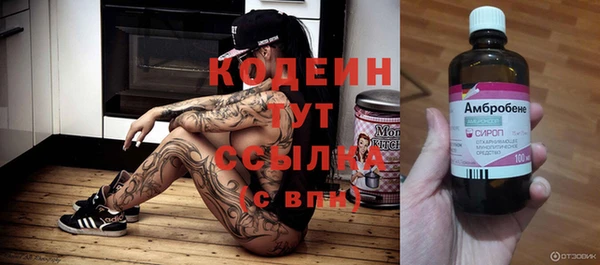 кокс Гусев